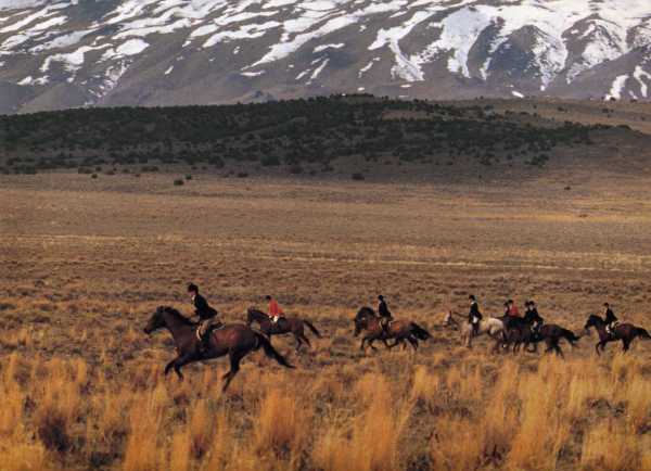 1998 (Dec) Red Rock Hounds by Sheri Scott