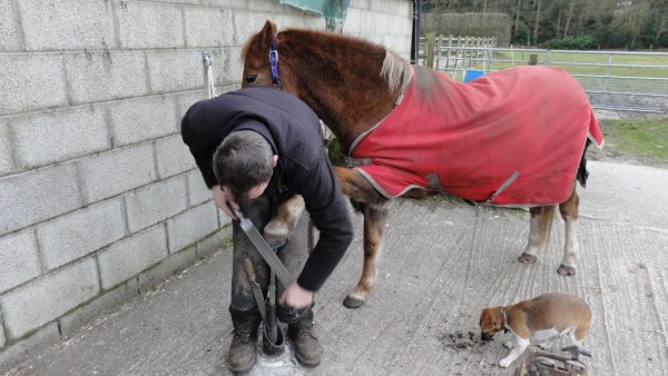 Rasping the foot after trimming